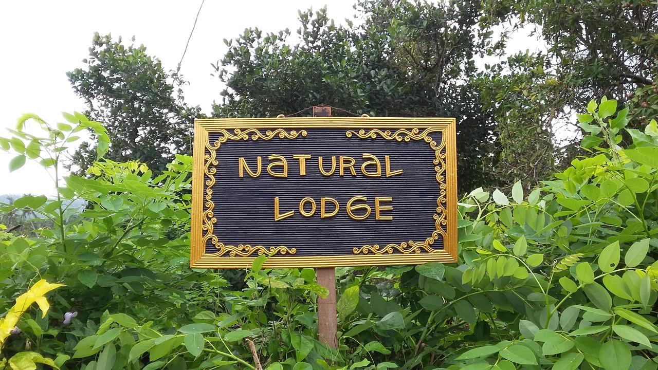 Natural Lodge 2 Selemadeg  Exterior foto